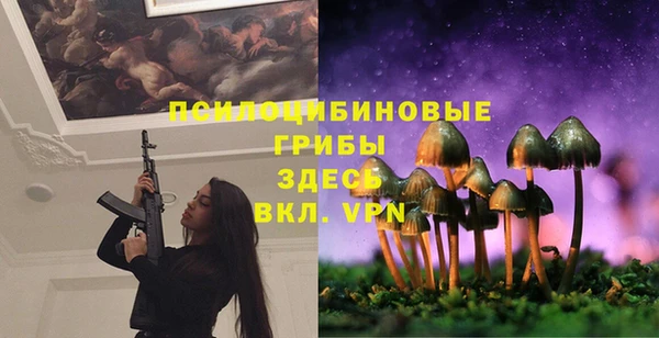 Альфа ПВП Мегион